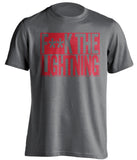 F**K THE LIGHTNING Detroit Red Wings grey TShirt